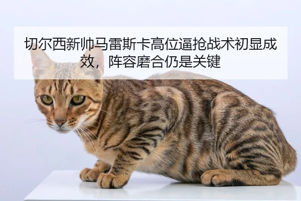 qie-er-xi-xin-shuai-ma-lei-si-ka-gao-wei-bi-qiang-zhan-shu-chu-xian-cheng-xiao-zhen-rong-mo-he-reng-shi-guan-jian-2-582.jpg